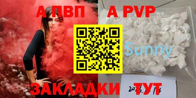 ешки Кингисепп