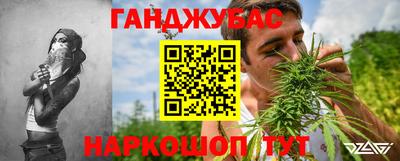 сатива Кимры